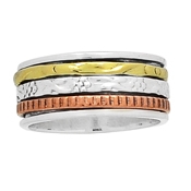 Spinner Ring60